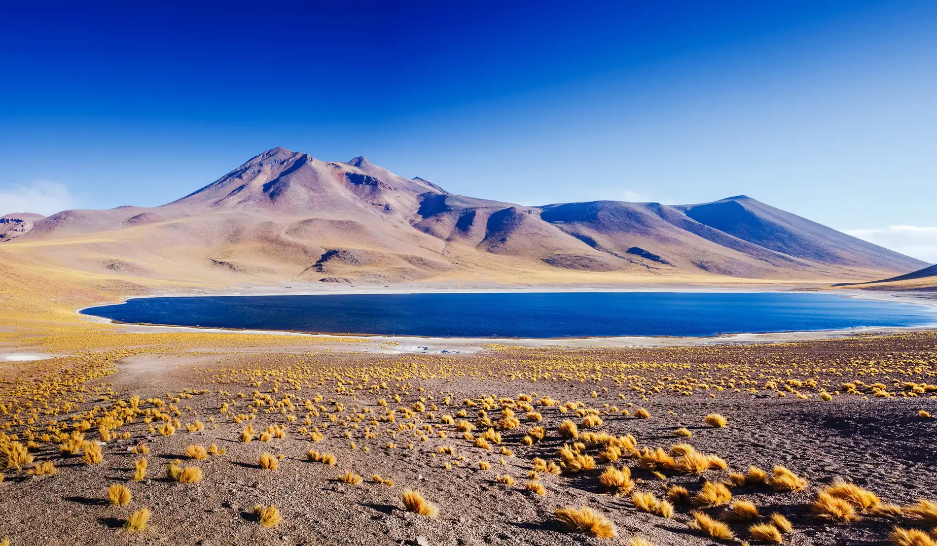 Socaire: Tecnología chilena que devuelve el agua al desierto
